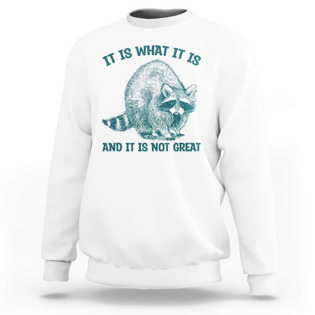 Funny Raccoon Meme It Is What It Is Sweatshirt And It Is Not Great Mental Health Support - Wonder Print Shop