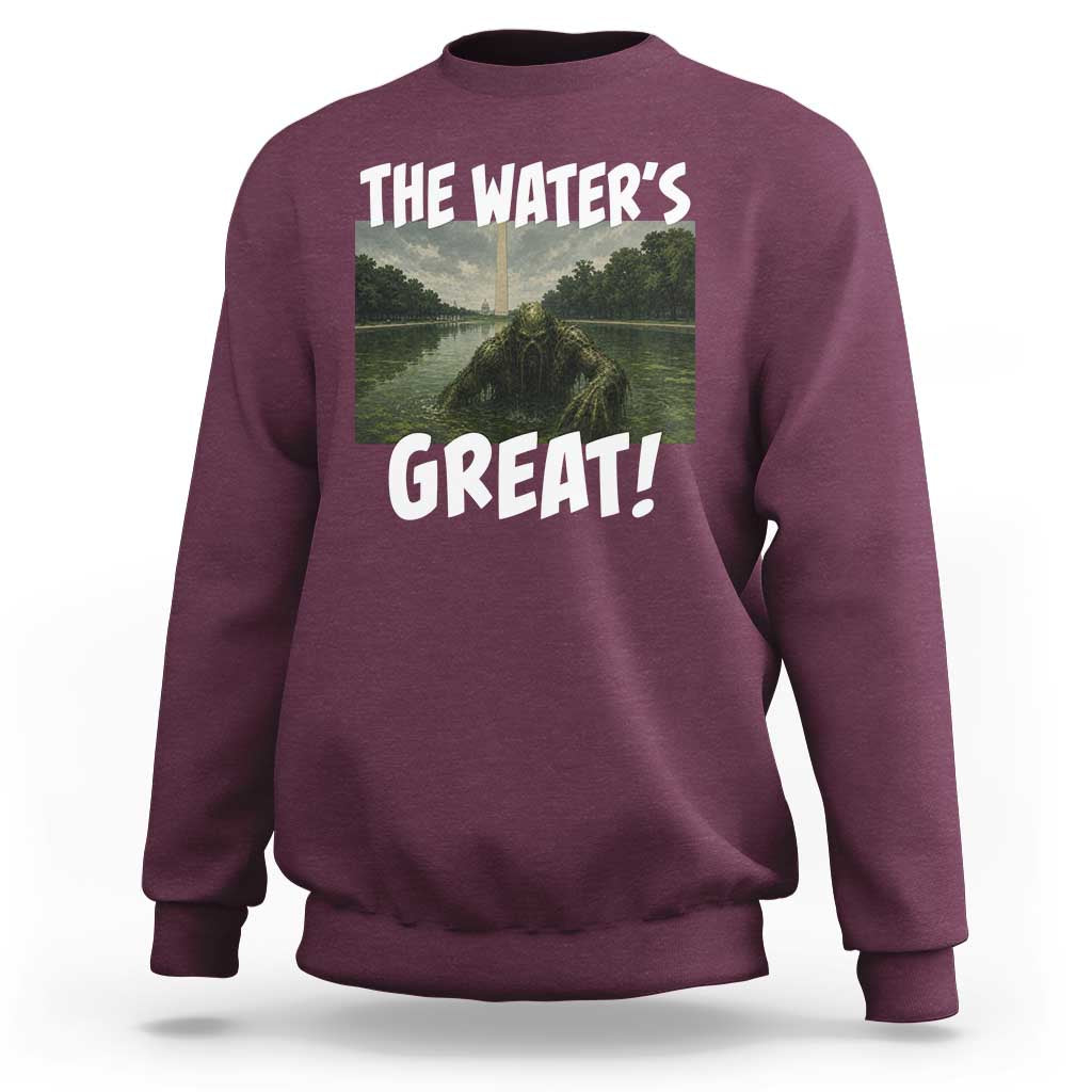 The Water is Great Swamp Monster Reflecting Pool Sweatshirt Funny Washington DC Algae Creature Meme