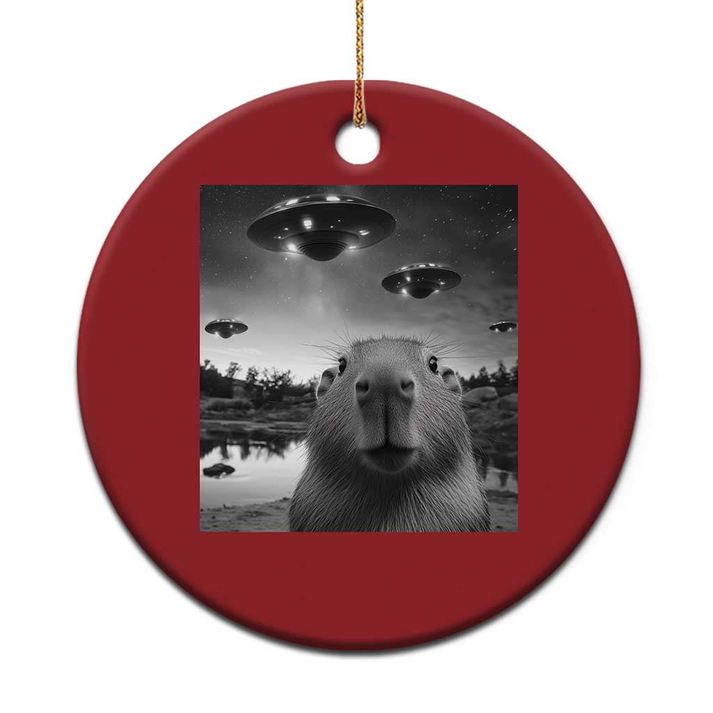 Funny Capybara Christmas Ornament Selfie With UFOs Capy Meme Graphic - Wonder Print Shop