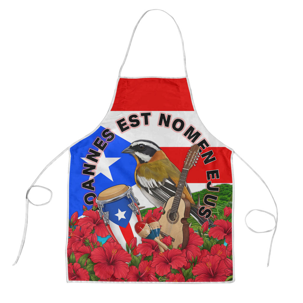Puerto Rico Hispanic Heritage Month Apron Boricua Pride Tropical Beach Flag Art
