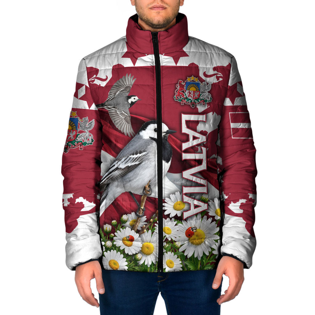 Personalized Latvia White Wagtail Padded Jacket Patriotic Flag Coat Of Arms Daisy Floral Map Art