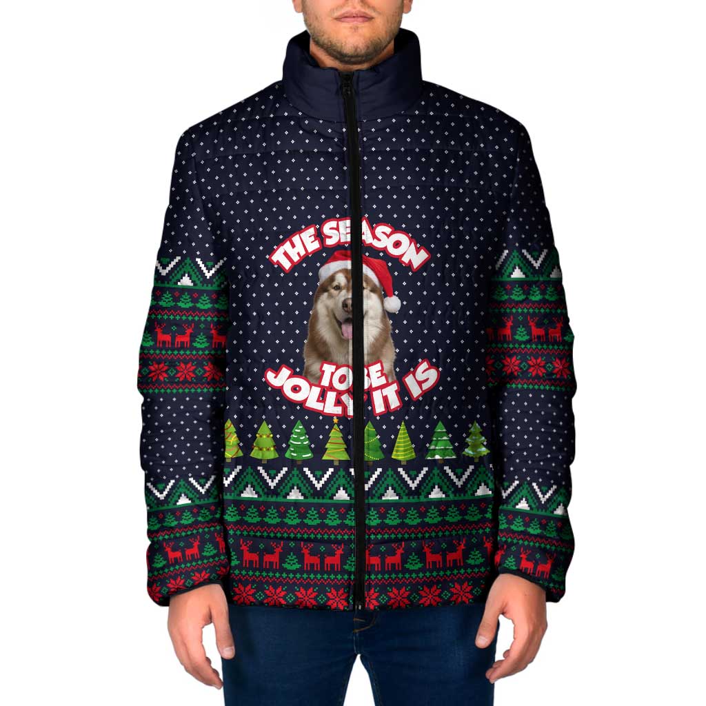 The Season To Be Jolly Siberian Husky Xmas Ball Christmas Padded Jacket Xmas Holiday Patterns - Wonder Print Shop