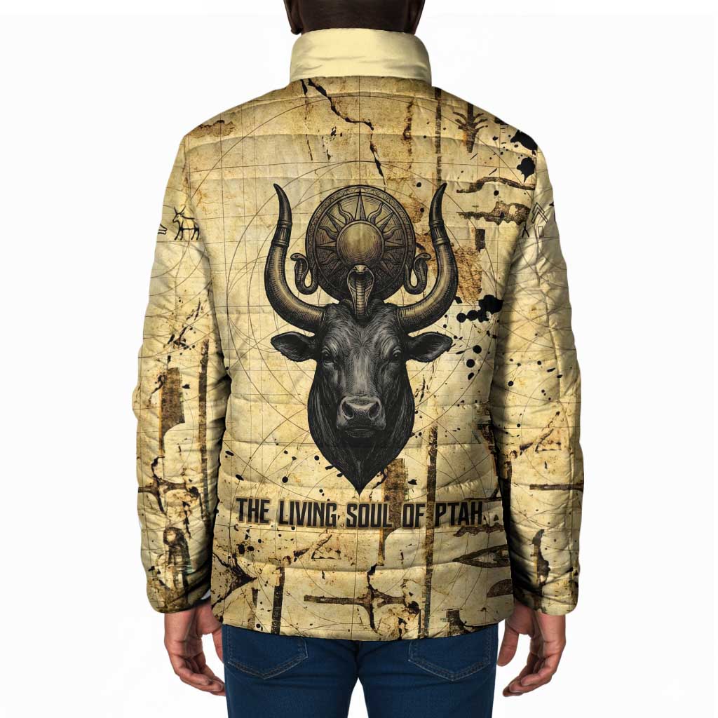 Apis Padded Jacket Ancient Egyptian Papyrus Map, Egyptian Crown Bull Illustration - Wonder Print Shop