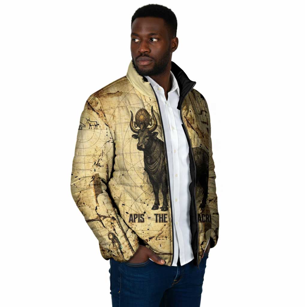 Apis Padded Jacket Ancient Egyptian Papyrus Map, Egyptian Crown Bull Illustration - Wonder Print Shop