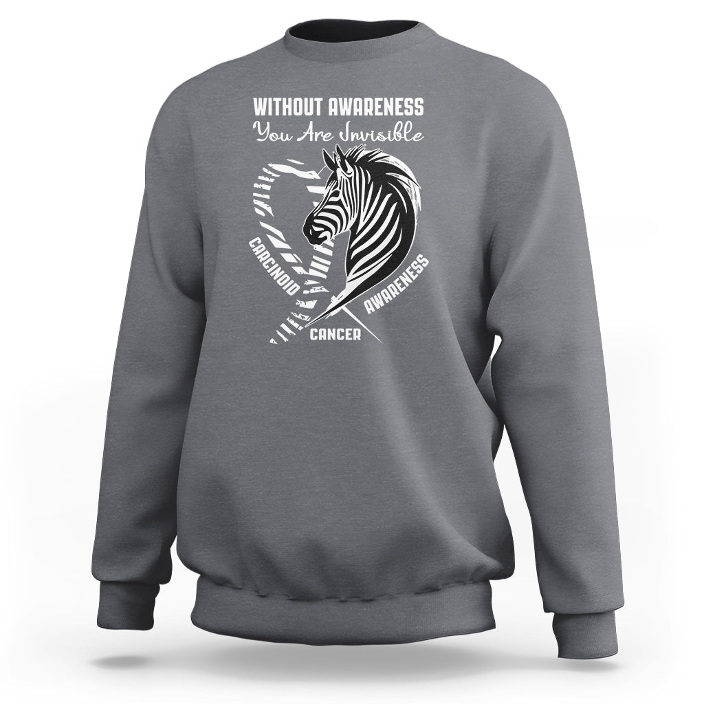 Charcoal gray crewneck sweatshirt with front zebra ribbon awareness graphic and text