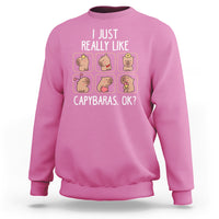 Light pink crewneck sweatshirt with capybara collage graphic on back.