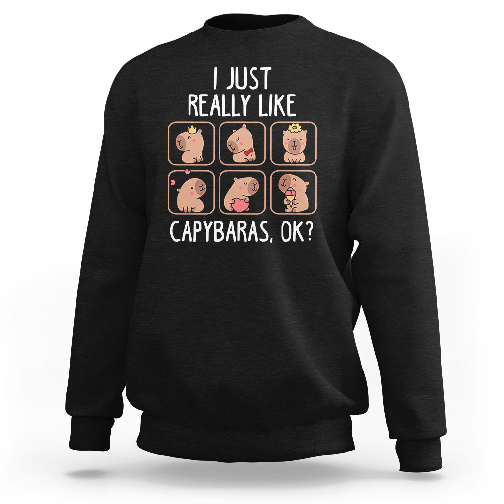 Black crewneck sweatshirt with capybara collage graphic and slogan.
