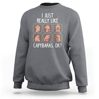 Charcoal gray crewneck sweatshirt with capybara collage graphic and slogan.