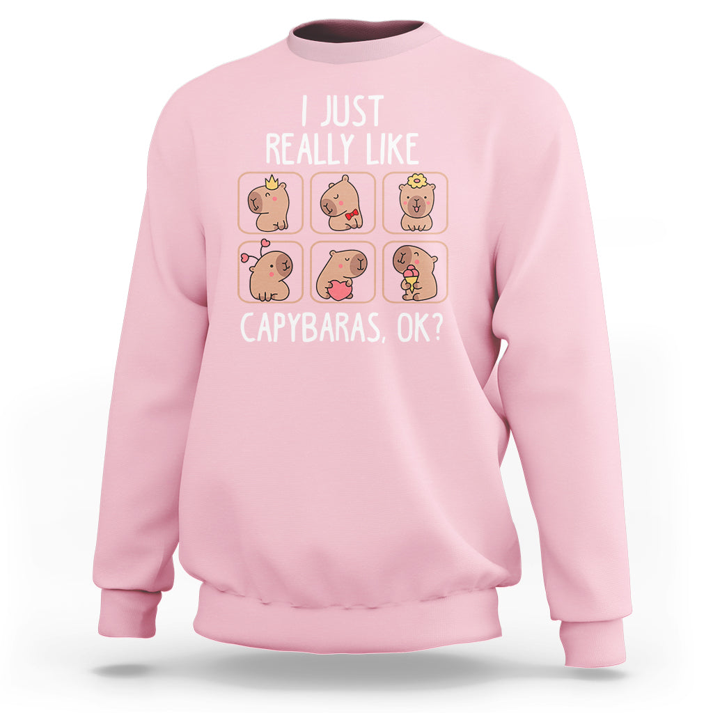 Light pink crewneck sweatshirt with capybara collage graphic and slogan.