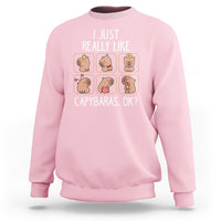 Light pink crewneck sweatshirt with capybara collage graphic and slogan.