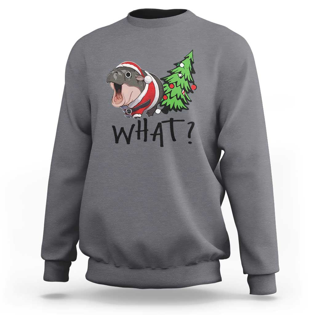 Charcoal sweatshirt with cartoon hippo pushing green Christmas tree, “WHAT?” front print