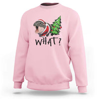 Light pink sweatshirt with cartoon hippo pushing green Christmas tree, “WHAT?” front print