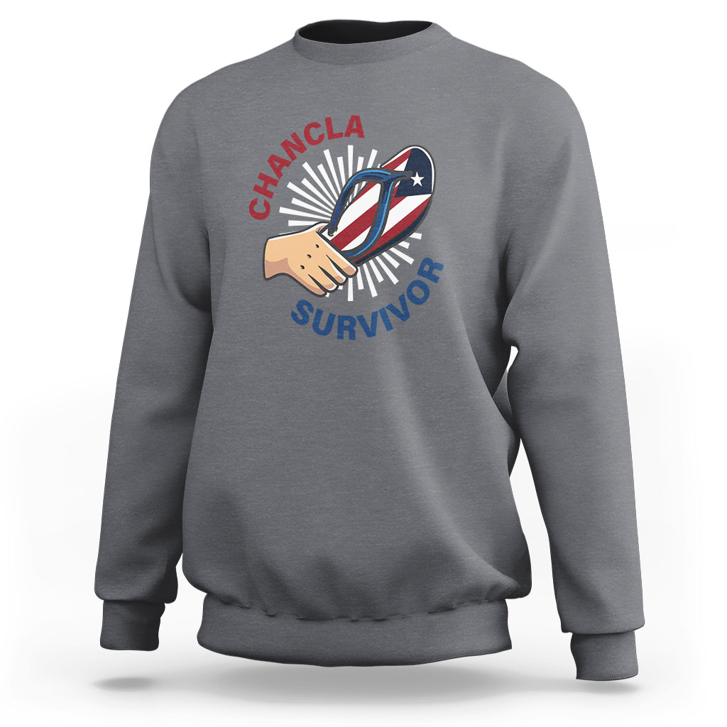 Light gray pullover sweatshirt with front graphic logo and ribbed crew neckline