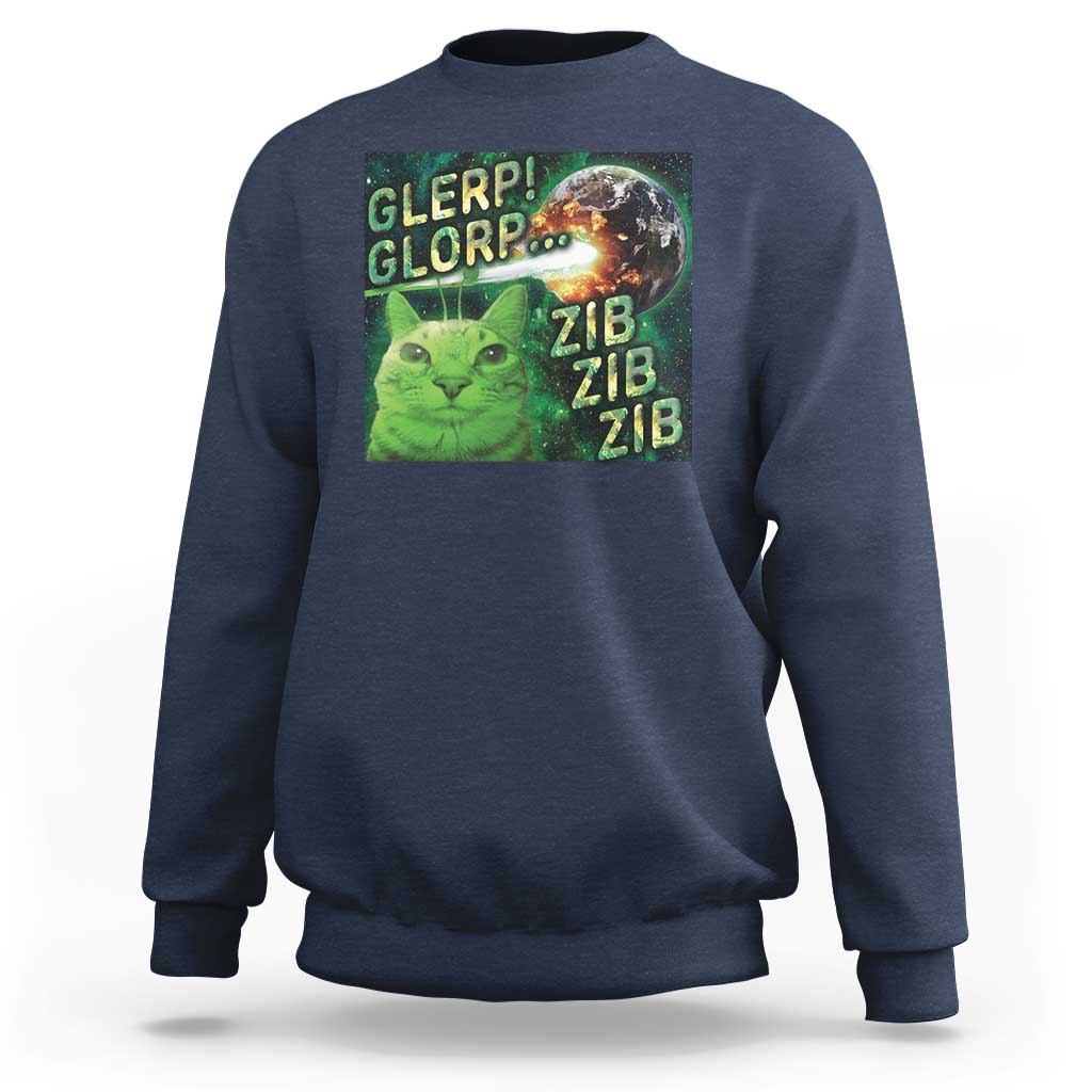 Funny Alien Cat Meme Sweatshirt Glerp Glorp Zib Zib