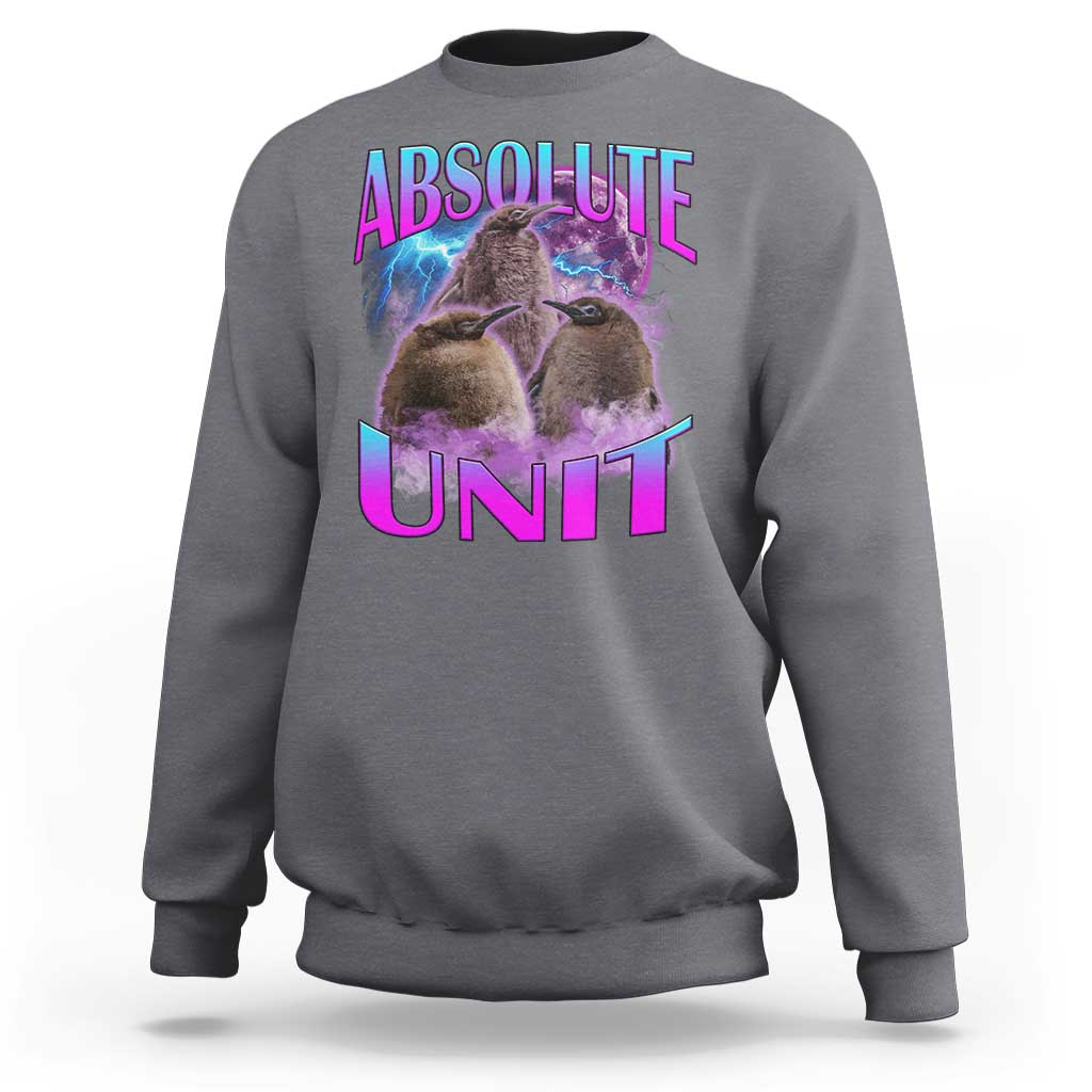 Charcoal crewneck sweatshirt with penguin graphic and “ABSOLUTE UNIT” print on chest.