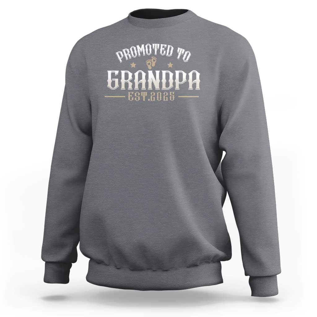 Retro Promoted To Grandpa est 2025 Sweatshirt