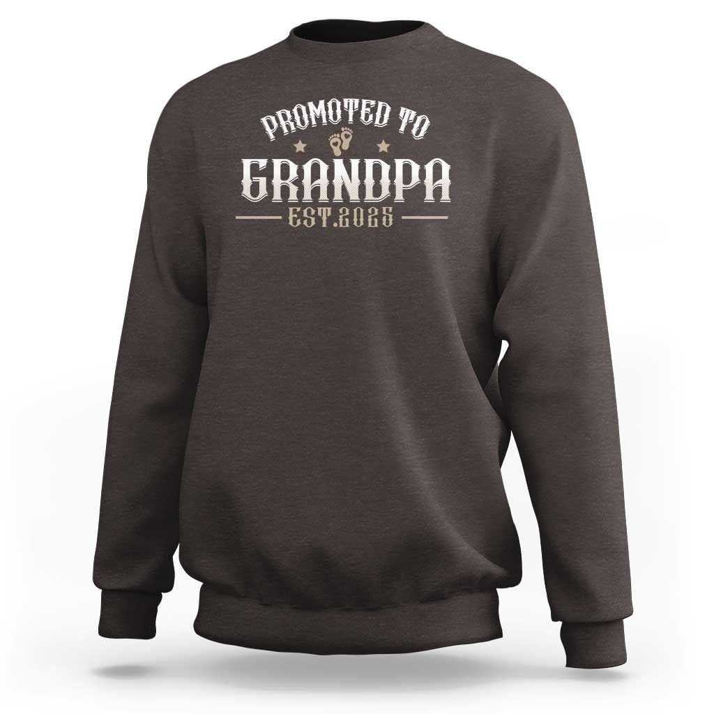 Retro Promoted To Grandpa est 2025 Sweatshirt