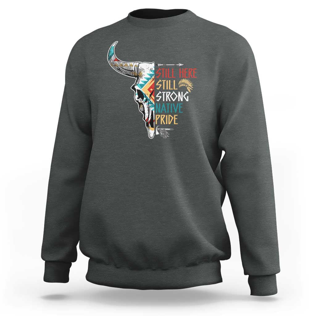 dark gray sweatshirt with Native Pride graphic on chest
