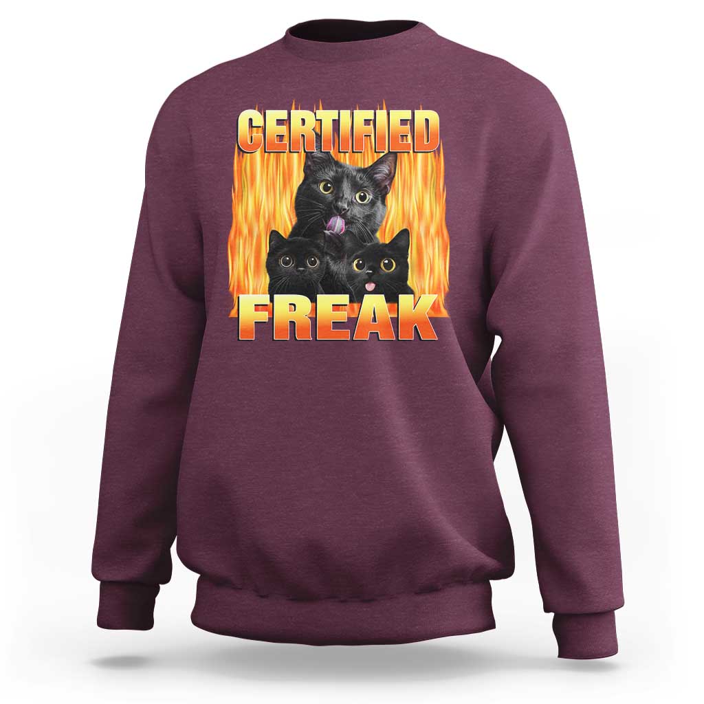 Funny Cat Meme Sweatshirt Certified Freak
