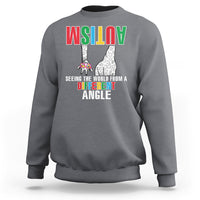 Charcoal gray sweatshirt with front giraffe graphic and Different Angle text