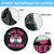 Breast Cancer Halloween Spare Tire Cover Save The Boo Bees