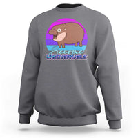 Gray pullover sweatshirt with cute baby hippo graphic on the chest