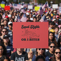 Feminist Cat Protest Sign Equal Rights or I Bites Human Rights - Wonder Print Shop