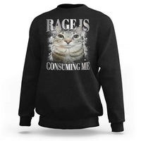 Rage Is Consuming Me Sweatshirt Funny Silly Cat Memes - Wonder Print Shop