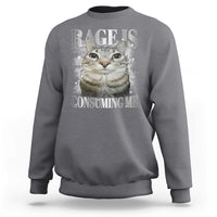 Rage Is Consuming Me Sweatshirt Funny Silly Cat Memes - Wonder Print Shop