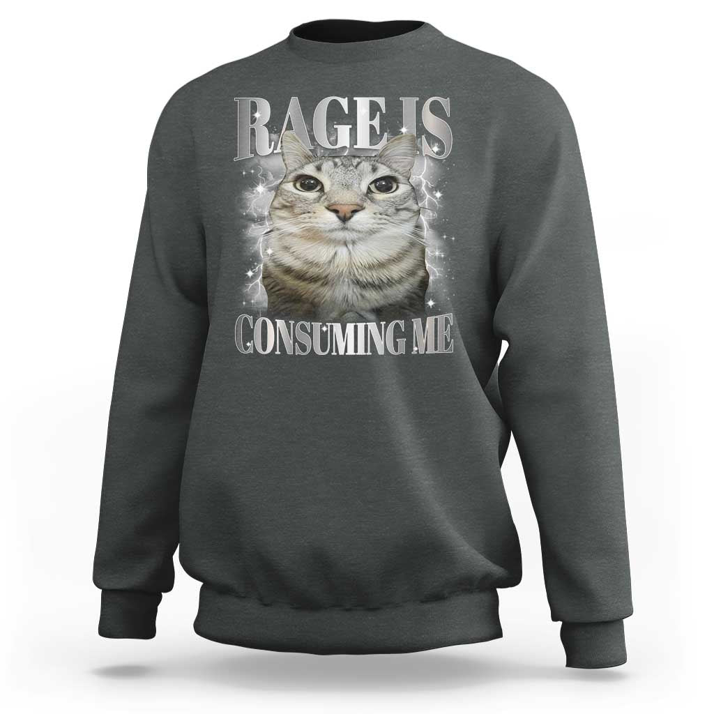 Rage Is Consuming Me Sweatshirt Funny Silly Cat Memes - Wonder Print Shop