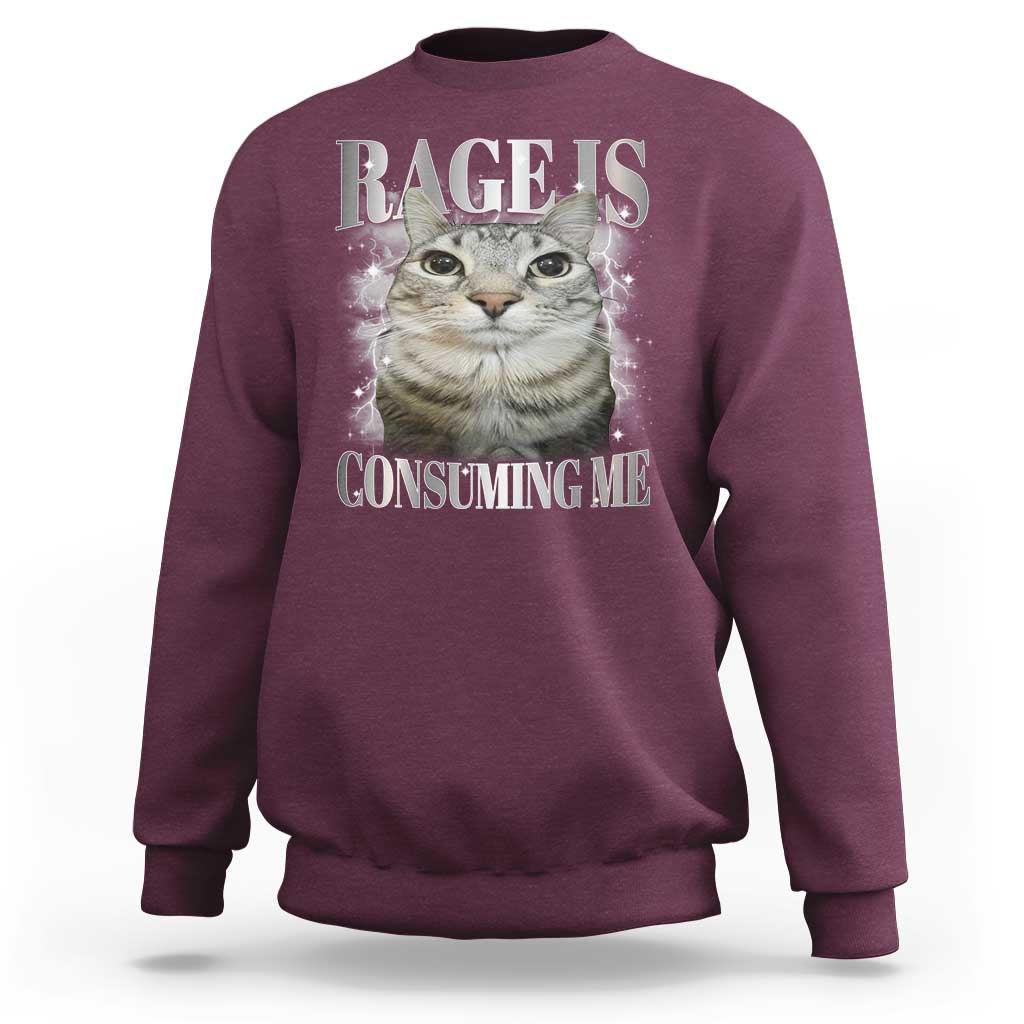 Rage Is Consuming Me Sweatshirt Funny Silly Cat Memes - Wonder Print Shop
