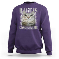 Rage Is Consuming Me Sweatshirt Funny Silly Cat Memes - Wonder Print Shop