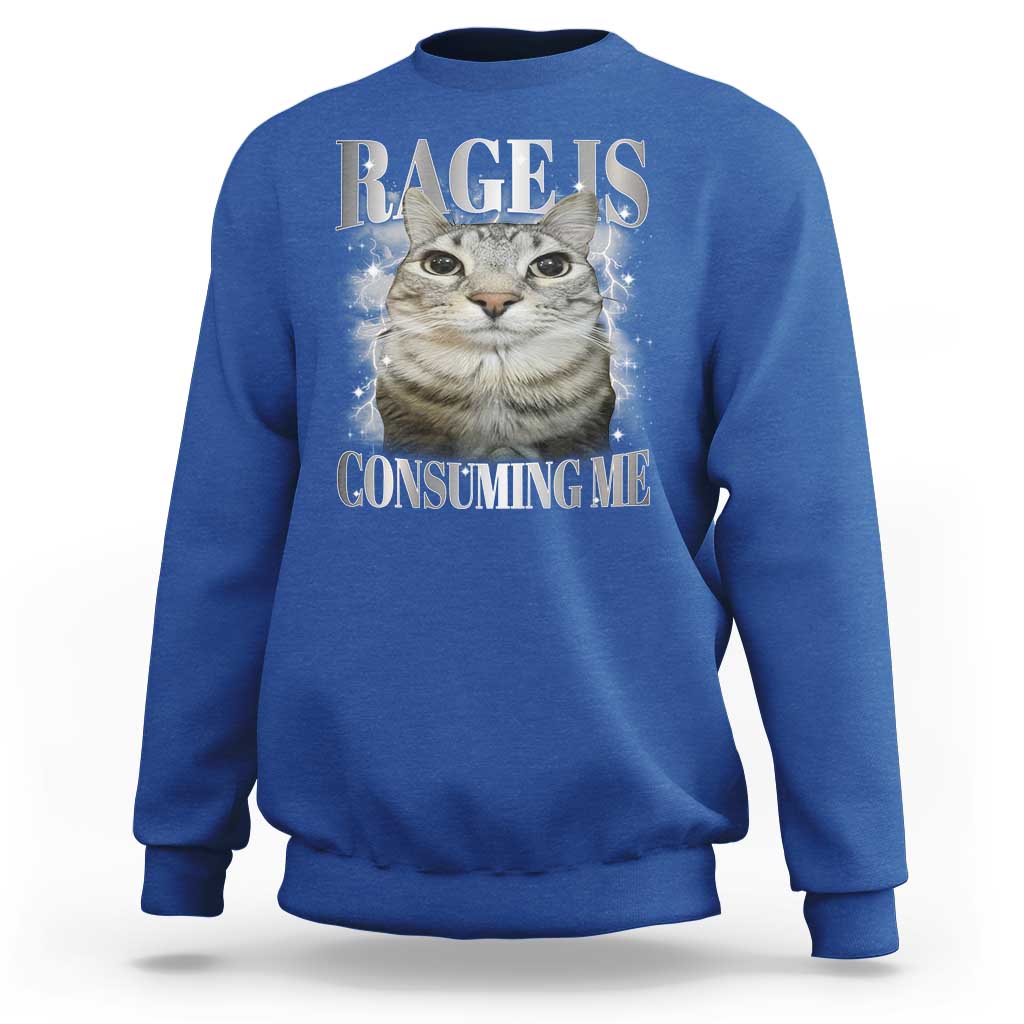 Rage Is Consuming Me Sweatshirt Funny Silly Cat Memes - Wonder Print Shop