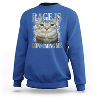 Rage Is Consuming Me Sweatshirt Funny Silly Cat Memes - Wonder Print Shop
