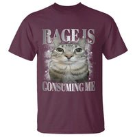 Rage Is Consuming Me T Shirt Funny Silly Cat Memes - Wonder Print Shop