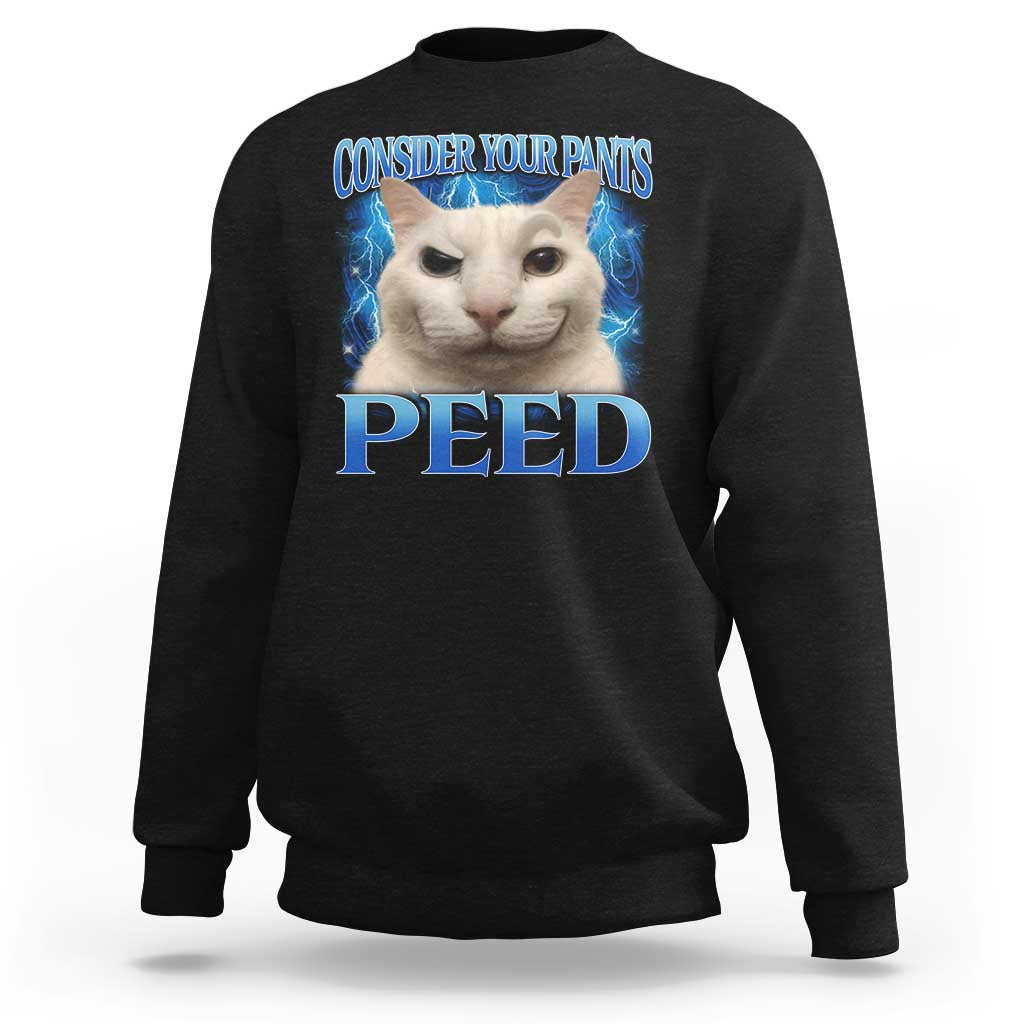 Meme Cat Sweatshirt Funny Weird Humor Consider Your Pants Peed - Wonder Print Shop