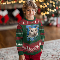 Meme Cat Knitted Sweatshirt Funny Weird Humor Consider Your Pants Peed - Wonder Print Shop