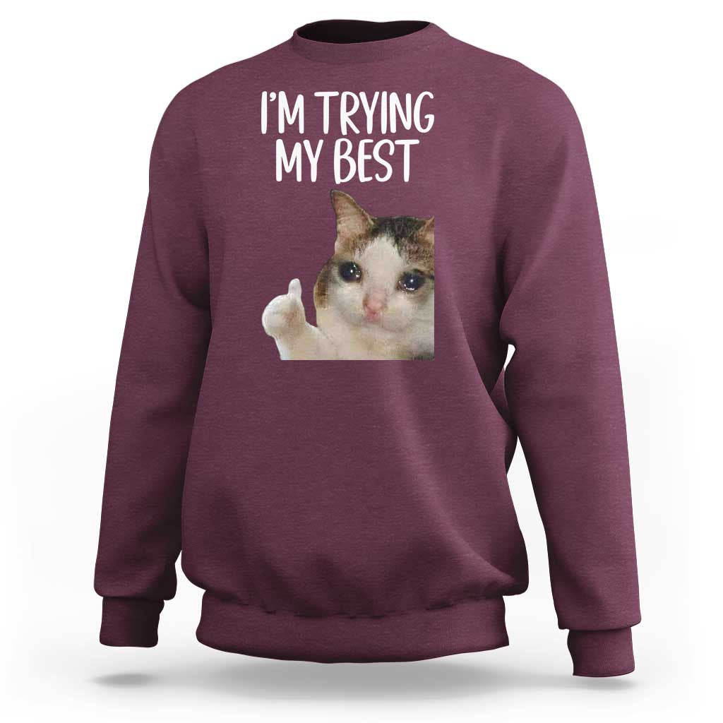 Im Trying My Best Funny Crying Cat Meme Sweatshirt - Wonder Print Shop