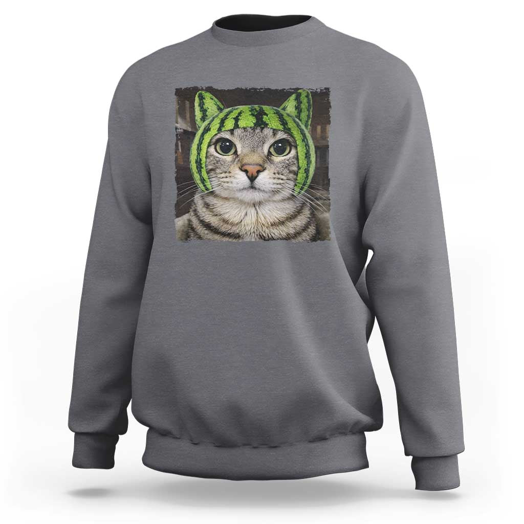 Watermelon Cat Silly Cat Meme Sweatshirt