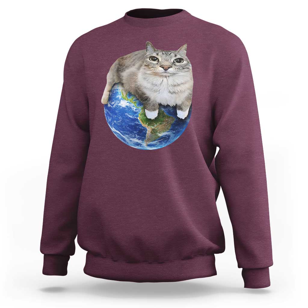 Earth Cat Silly Cat Meme Sweatshirt