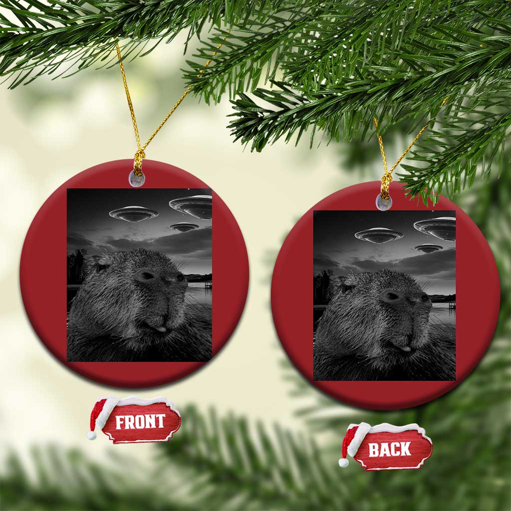 Two red round Christmas ornaments with capybara selfie and UFOs, with gold hanging loops.