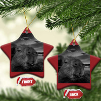 Two red star-shaped Christmas ornaments with capybara selfie and UFOs, gold hanging loops.