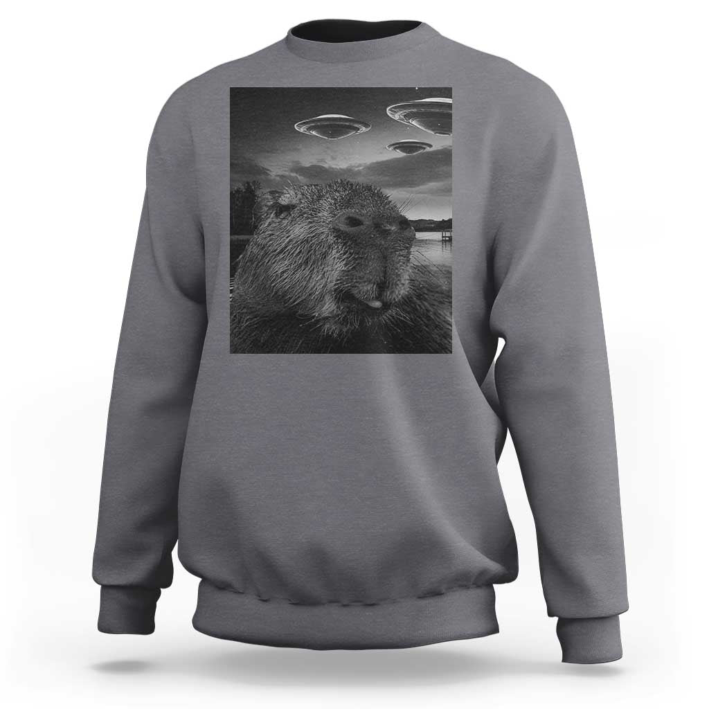 Charcoal crewneck sweatshirt with capybara selfie graphic and UFOs print