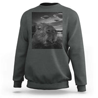 Dark heather crewneck sweatshirt with capybara selfie graphic and UFOs print