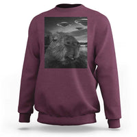 Maroon crewneck sweatshirt with capybara selfie graphic and UFOs print