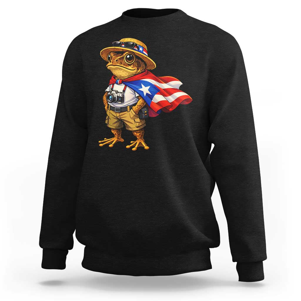 Coqui Frog Puerto Rico Flag Sweatshirt Puerto Rican Taino Boricua Vibes