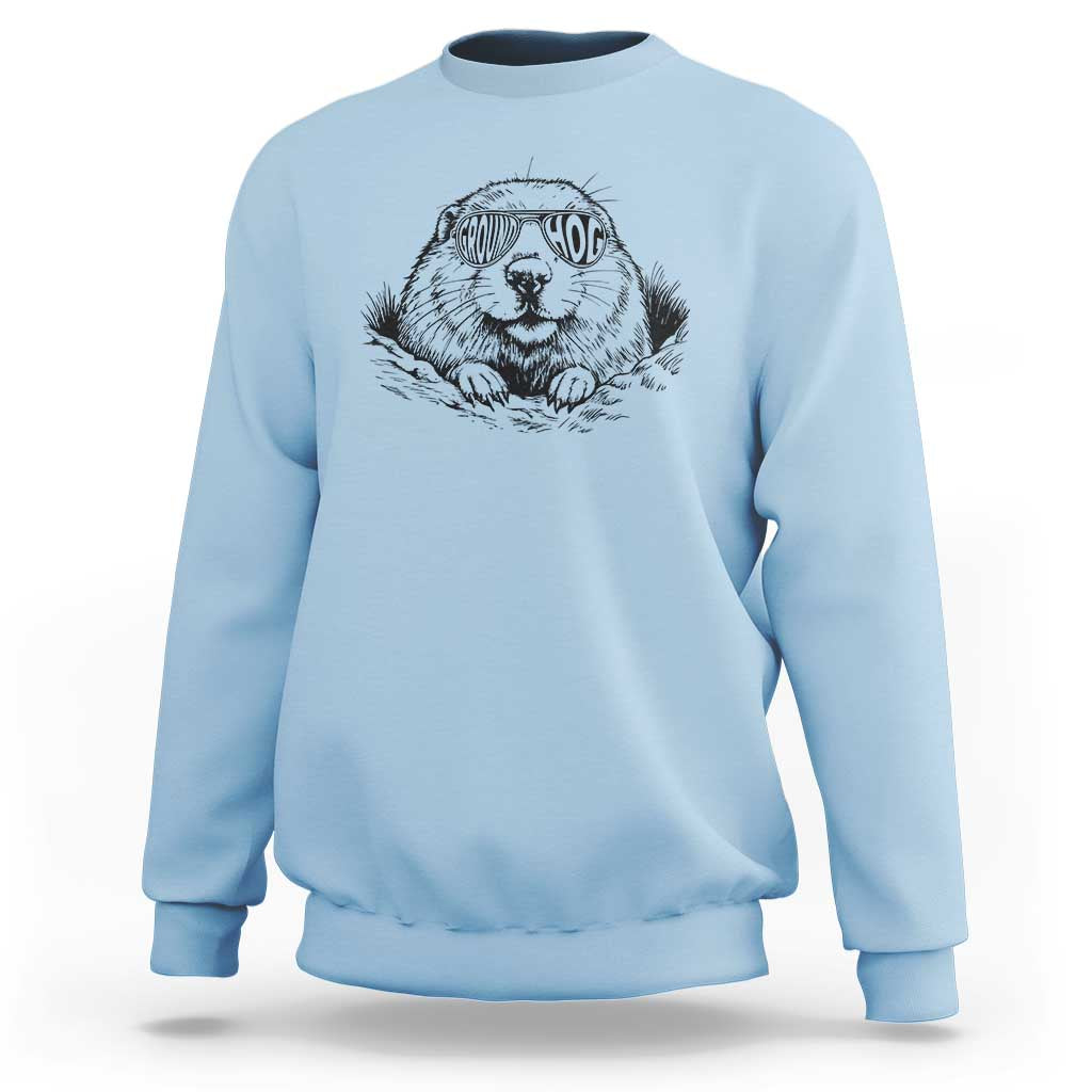 Funny Groundhog Face Woodchuck Sunglassess Sweatshirt - Wonder Print Shop