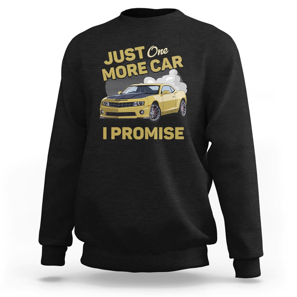 Car lover sweatshirt, black, racing car graphic with "I promise" text