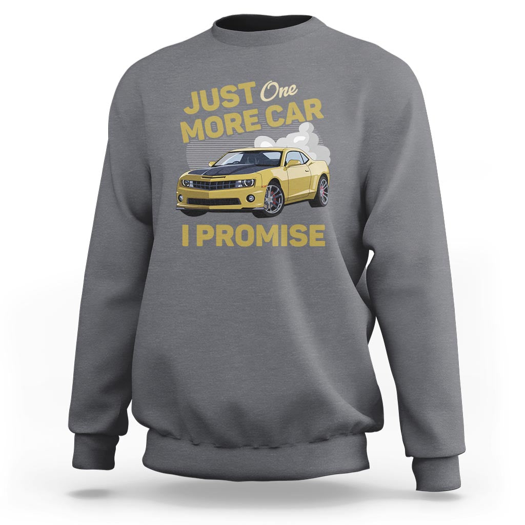 Car lover sweatshirt, charcoal gray, racing car graphic with "I promise" text
