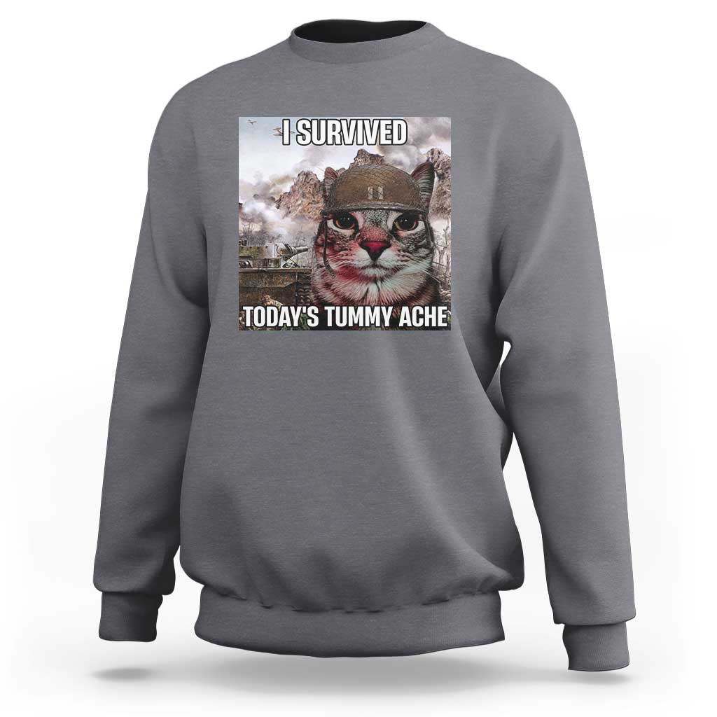 Funny I Survived Todays Tummy Ache Sweatshirt War Cat Meme - Wonder Print Shop
